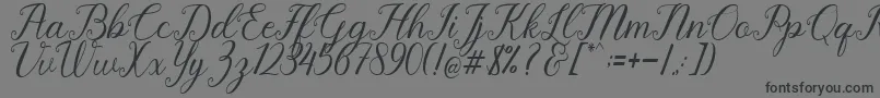 Pruistine Script Font – Black Fonts on Gray Background