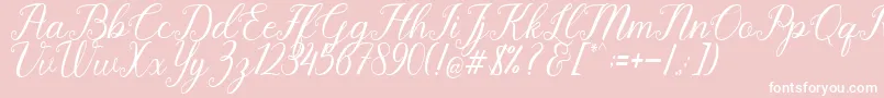 Pruistine Script Font – White Fonts on Pink Background