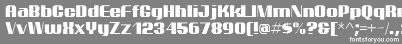 ptarm    Font – White Fonts on Gray Background