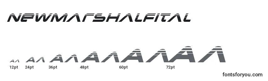 Newmarshalfital Font Sizes