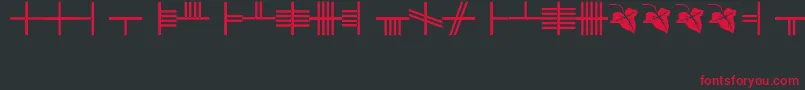 BethLuisNion Font – Red Fonts on Black Background