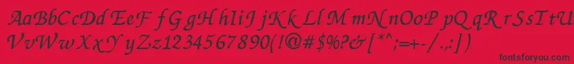 ZapfchanceryCyrillicItalic Font – Black Fonts on Red Background