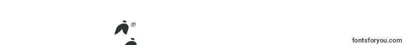 フォントpuffangelexpandital – タミル文字
