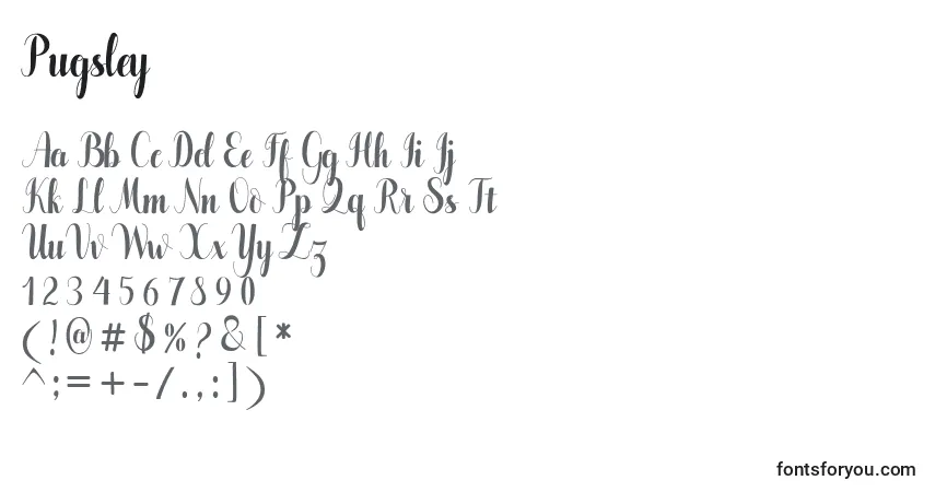 Schriftart Pugsley – Alphabet, Zahlen, spezielle Symbole