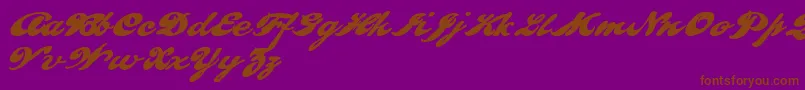 PULLD    Font – Brown Fonts on Purple Background