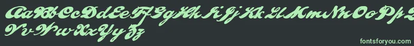 PULLD    Font – Green Fonts on Black Background