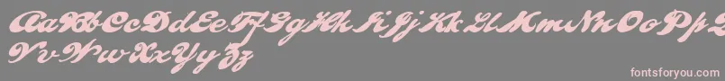 PULLD    Font – Pink Fonts on Gray Background