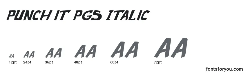 Punch it PGS Italic Font Sizes