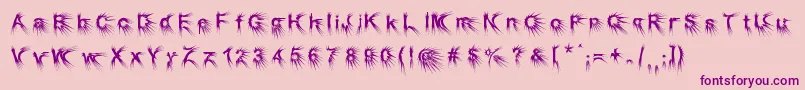Puncher Font – Purple Fonts on Pink Background
