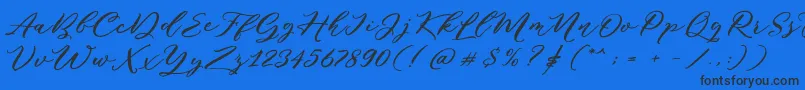 Puniko Rough DEMO Font – Black Fonts on Blue Background