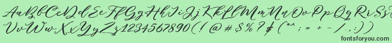 Puniko Rough DEMO Font – Black Fonts on Green Background