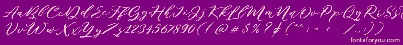 Puniko Rough DEMO Font – Pink Fonts on Purple Background