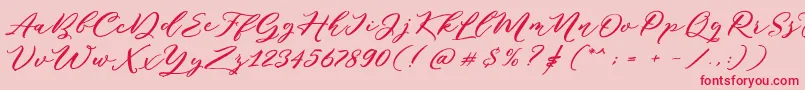Puniko Rough DEMO Font – Red Fonts on Pink Background