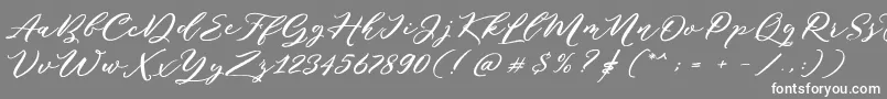 Puniko Rough DEMO Font – White Fonts on Gray Background