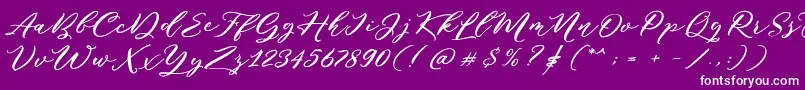 Puniko Rough DEMO Font – White Fonts on Purple Background