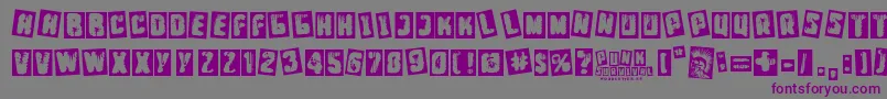 Punk Survival Font – Purple Fonts on Gray Background