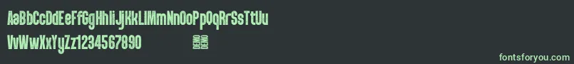 PunkRocker S Demo Font – Green Fonts on Black Background