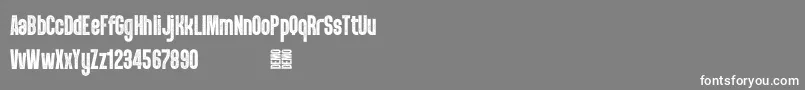 Weitere Informationen zur PunkRocker S Demo-Schriftart PunkRocker S Demo-Schriftart – Weiße Schriften auf grauem Hintergrund