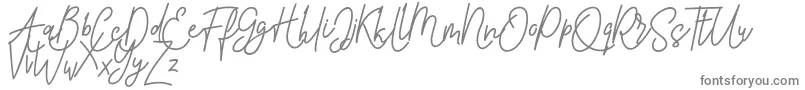 Pure Tintri FREE Font – Gray Fonts