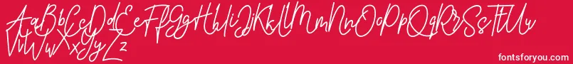 Pure Tintri FREE Font – White Fonts on Red Background