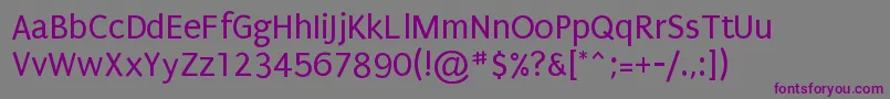 Шрифт Puritan – фиолетовые шрифты на сером фоне