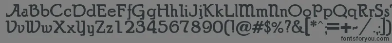 Шрифт PuritanAlternate Bold – чёрные шрифты на сером фоне