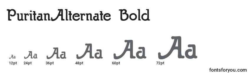 Размеры шрифта PuritanAlternate Bold