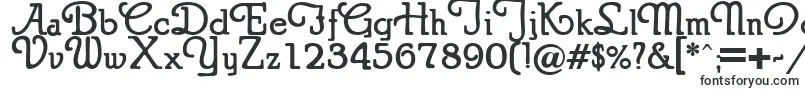 PuritanSwash Bold-fontti – Alkavat P:lla olevat fontit