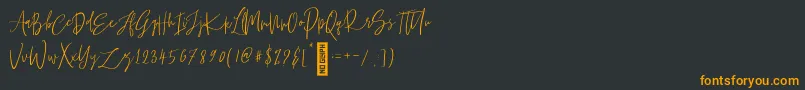 フォントPuzzled 2 – 黒い背景にオレンジの文字