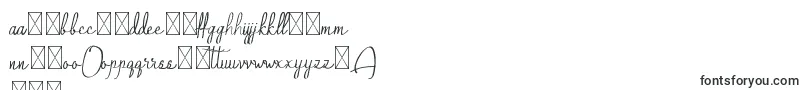 Шрифт QalinHandwritting – польские шрифты