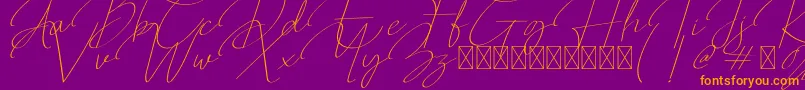 Qalistha Font – Orange Fonts on Purple Background