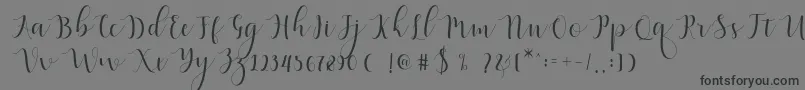 フォントQatielia Script – 黒い文字の灰色の背景