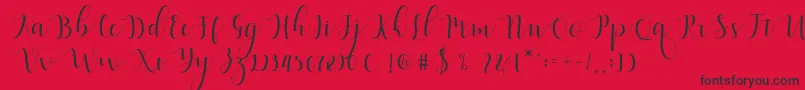 Qatielia Script Font – Black Fonts on Red Background