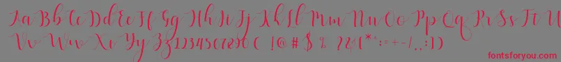 Qatielia Script-Schriftart – Rote Schriften auf grauem Hintergrund