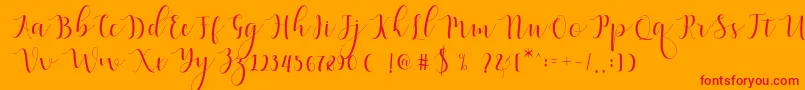 Qatielia Script Font – Red Fonts on Orange Background