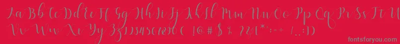 Qatielia Script Font – Gray Fonts on Red Background