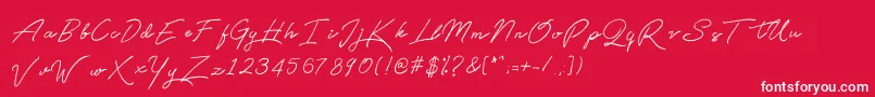 Qetey Font – White Fonts on Red Background