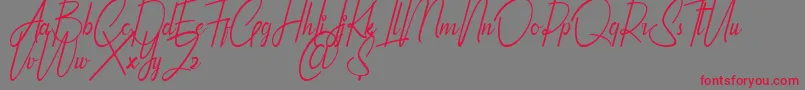 Qhinanttika Personal Use Only Font – Red Fonts on Gray Background