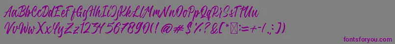 QimailaScript Font – Purple Fonts on Gray Background