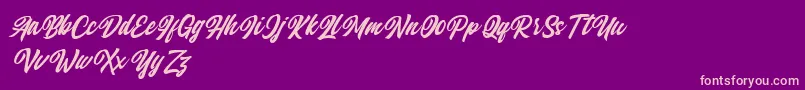 Qintan Script Free Demo Font – Pink Fonts on Purple Background