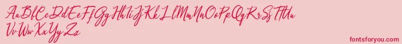 Qinyana Signature Font – Red Fonts on Pink Background