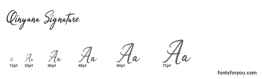Размеры шрифта Qinyana Signature