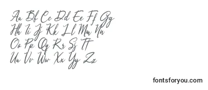 Schriftart Qinyana Signature