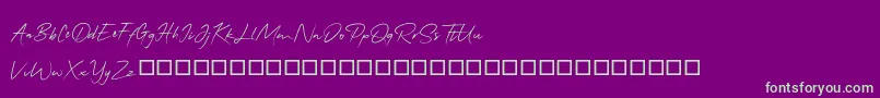 QonitaSignature-Schriftart – Grüne Schriften auf violettem Hintergrund