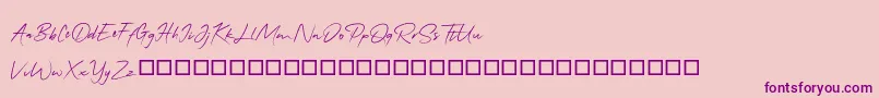 QonitaSignature-Schriftart – Violette Schriften auf rosa Hintergrund