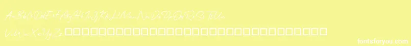 QonitaSignature Font – White Fonts on Yellow Background