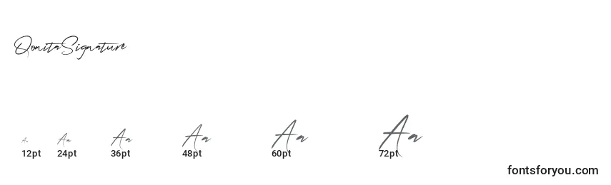 QonitaSignature Font Sizes