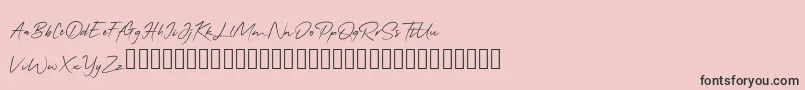 QonitaSignature-Schriftart – Schwarze Schriften auf rosa Hintergrund