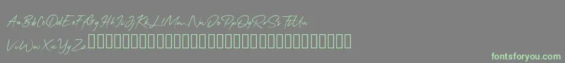 QonitaSignature-Schriftart – Grüne Schriften auf grauem Hintergrund