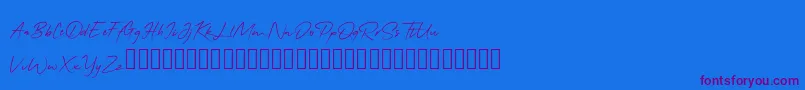 QonitaSignature-Schriftart – Violette Schriften auf blauem Hintergrund